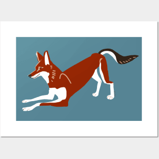 Caberu the Ethiopian Wolf #4 Posters and Art